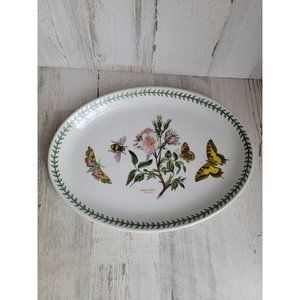 Portmeirion Botanic Gardens‎ Dog rose 13" platter